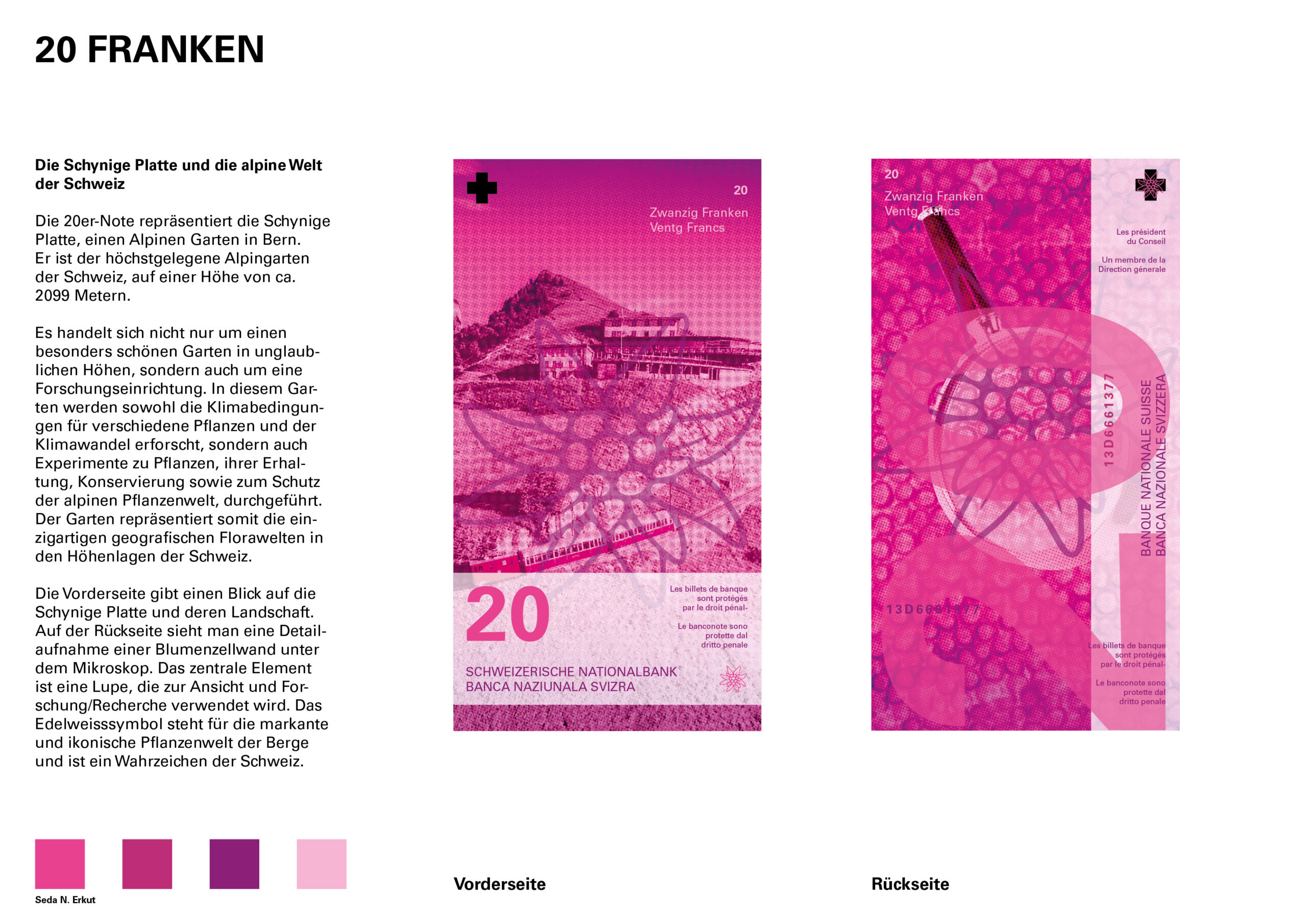 Banknoten_uebersicht_2026_se6